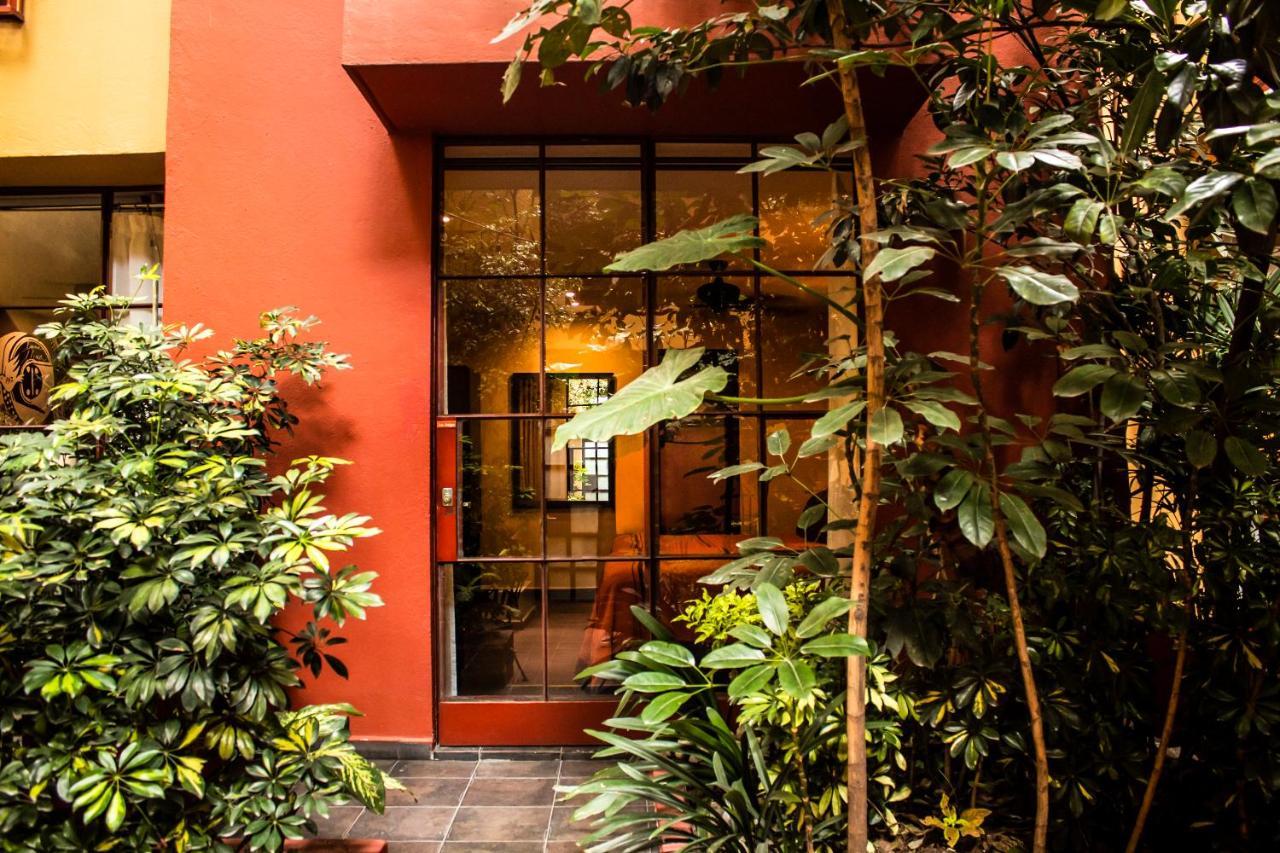 The Red Tree House * Mexico City