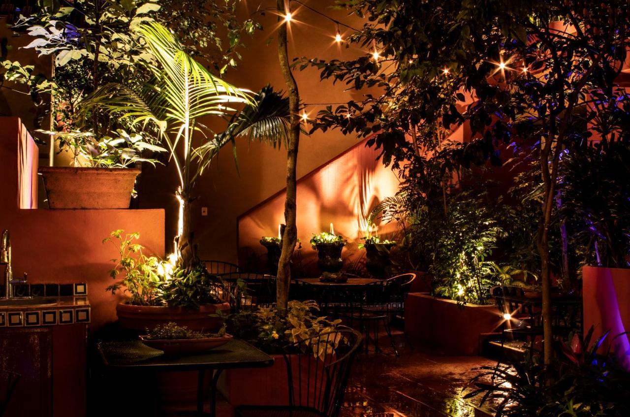 The Red Tree House Città del Messico