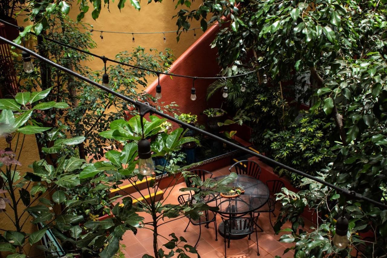The Red Tree House Bed & Breakfast